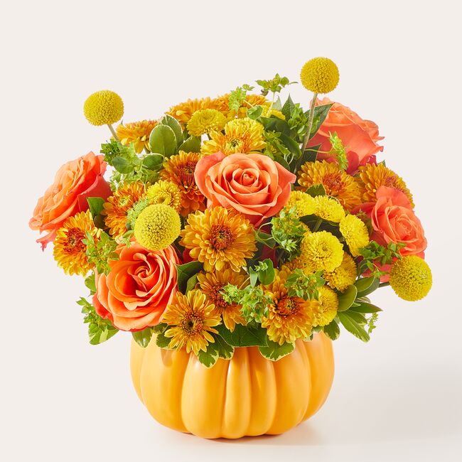 Gourdgeous Pumpkin